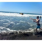 Lance-roquettes pour enfants, jouet fusée, jouet STEM pour enfants, jouets d'extérieur à partir de 6 ans, jouets de jardin et de plage, cadeau d'anniversaire pour enfants garçons et filles, lanceur intégré, sans assemblage, sans piles Lance-roquettes pour enfants, jouet fusée, jouet STEM pour enfants, jouets d'extérieur à partir de 6 ans, jouets de jardin et de plage, cadeau d'anniversaire pour enfants garçons et filles, lanceur intégré, sans assemblage, sans piles