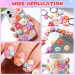X Hot Popcorn Flatback Résine Fleur Charmes Aléatoire Slime Charms Flatback Cabochons Marguerite Embellissement pour DIY Scrapbooking Pince À Cheveux Décor De Coque De Téléphone