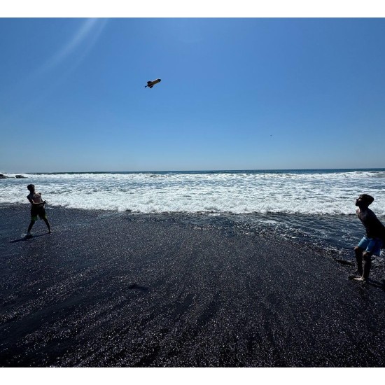 Lance-roquettes pour enfants, jouet fusée, jouet STEM pour enfants, jouets d'extérieur à partir de 6 ans, jouets de jardin et de plage, cadeau d'anniversaire pour enfants garçons et filles, lanceur intégré, sans assemblage, sans piles Lance-roquettes pour enfants, jouet fusée, jouet STEM pour enfants, jouets d'extérieur à partir de 6 ans, jouets de jardin et de plage, cadeau d'anniversaire pour enfants garçons et filles, lanceur intégré, sans assemblage, sans piles