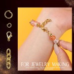 LEOBRO Kit de fabrication de porte-clés, 265 pièces, clips et porte-clés, fermoirs mousquetons en métal et anneaux porte-clés, porte-clés en vrac, anneaux porte-clés, clip pour porte-clés, fabrication de bijoux, artisanat, doré LEOBRO Kit de fabrication de porte-clés, 265 pièces, clips et porte-clés, fermoirs mousquetons en métal et anneaux porte-clés, porte-clés en vrac, anneaux porte-clés, clip pour porte-clés, fabrication de bijoux, artisanat, doré