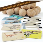 Dan&Darci Dig a Dozen Kit d'œufs de dinosaure pour enfants – Panier de Pâques – Cadeau de jouets dinosaures pour enfants de 3 à 12 ans – 12 œufs et dinosaures surprises – Activités scientifiques STEM – Cadeaux de fête pour garçons et filles Dan&Darci Dig a Dozen Kit d'œufs de dinosaure pour enfants – Panier de Pâques – Cadeau de jouets dinosaures pour enfants de 3 à 12 ans – 12 œufs et dinosaures surprises – Activités scientifiques STEM – Cadeaux de fête pour garçons et filles