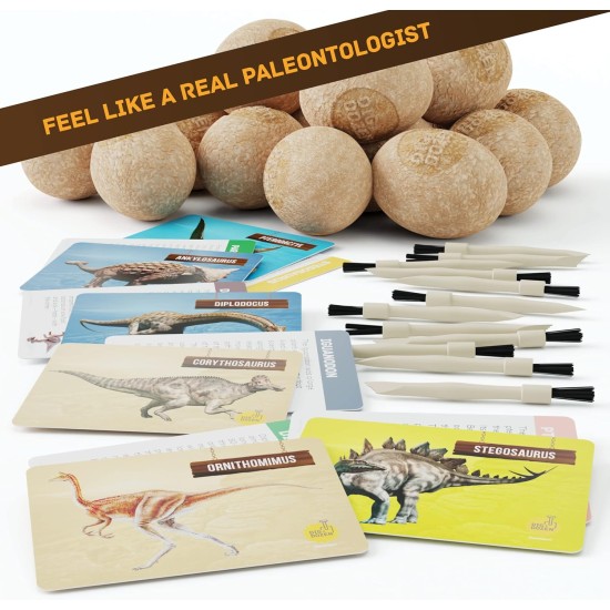 Dan&Darci Dig a Dozen Kit d'œufs de dinosaure pour enfants – Panier de Pâques – Cadeau de jouets dinosaures pour enfants de 3 à 12 ans – 12 œufs et dinosaures surprises – Activités scientifiques STEM – Cadeaux de fête pour garçons et filles Dan&Darci Dig a Dozen Kit d'œufs de dinosaure pour enfants – Panier de Pâques – Cadeau de jouets dinosaures pour enfants de 3 à 12 ans – 12 œufs et dinosaures surprises – Activités scientifiques STEM – Cadeaux de fête pour garçons et filles