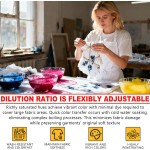 DUTOHAO Tie Dye Teinture Liquide, Colorants de Tissu concentrés Rouges, Colorants créatifs de 3,5 Fl.oz pour la Maison pour Les Arts et l'artisanat, Art de Tissu DIY(Rouge, 3,5 fl oz / 100 ml)