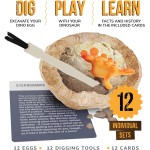 Dan&Darci Dig a Dozen Kit d'œufs de dinosaure pour enfants – Panier de Pâques – Cadeau de jouets dinosaures pour enfants de 3 à 12 ans – 12 œufs et dinosaures surprises – Activités scientifiques STEM – Cadeaux de fête pour garçons et filles Dan&Darci Dig a Dozen Kit d'œufs de dinosaure pour enfants – Panier de Pâques – Cadeau de jouets dinosaures pour enfants de 3 à 12 ans – 12 œufs et dinosaures surprises – Activités scientifiques STEM – Cadeaux de fête pour garçons et filles