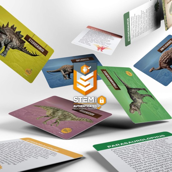 Dan&Darci Dig a Dozen Kit d'œufs de dinosaure pour enfants – Panier de Pâques – Cadeau de jouets dinosaures pour enfants de 3 à 12 ans – 12 œufs et dinosaures surprises – Activités scientifiques STEM – Cadeaux de fête pour garçons et filles Dan&Darci Dig a Dozen Kit d'œufs de dinosaure pour enfants – Panier de Pâques – Cadeau de jouets dinosaures pour enfants de 3 à 12 ans – 12 œufs et dinosaures surprises – Activités scientifiques STEM – Cadeaux de fête pour garçons et filles